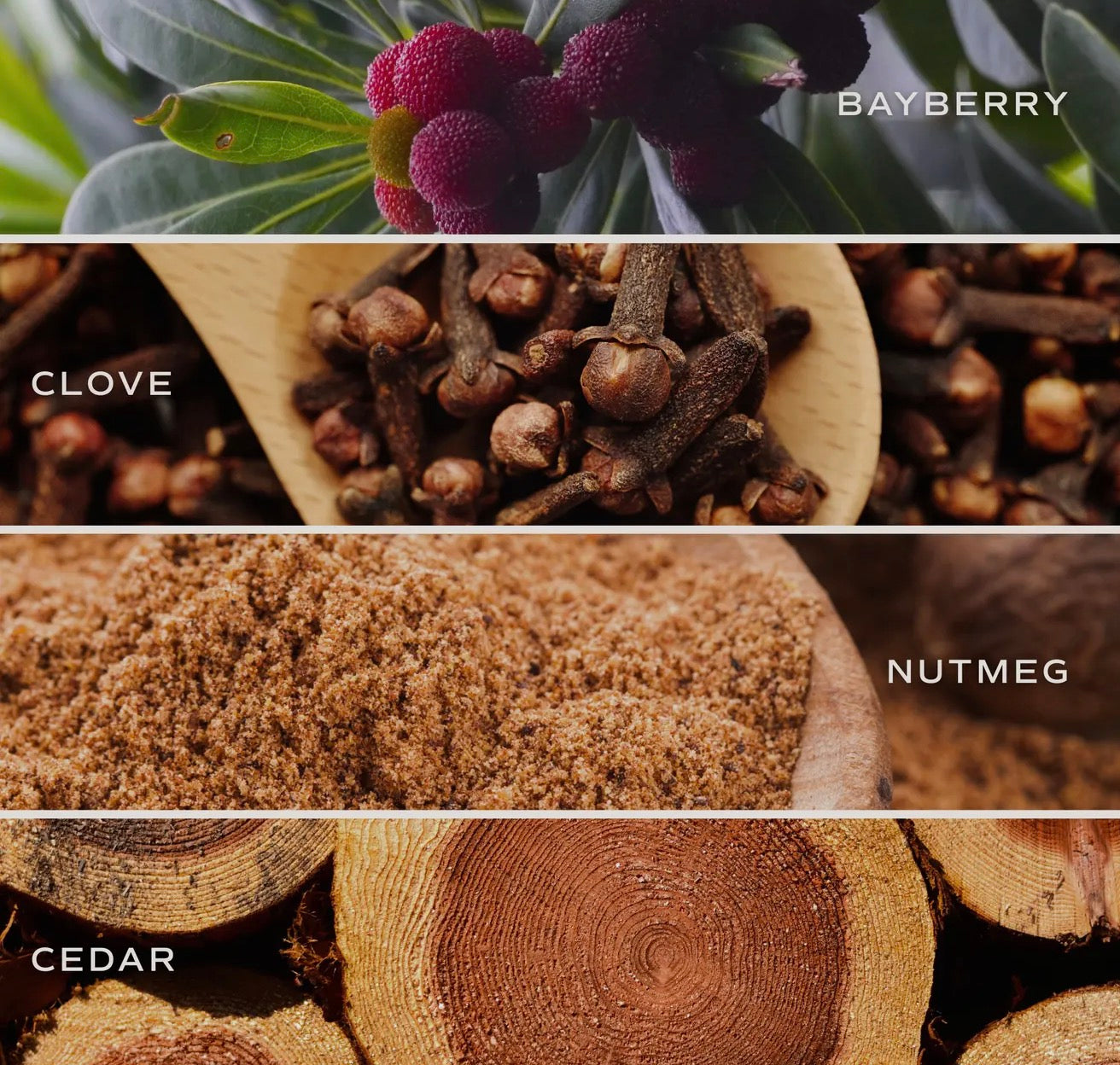 Merry Candle Christmas Seasonal Release